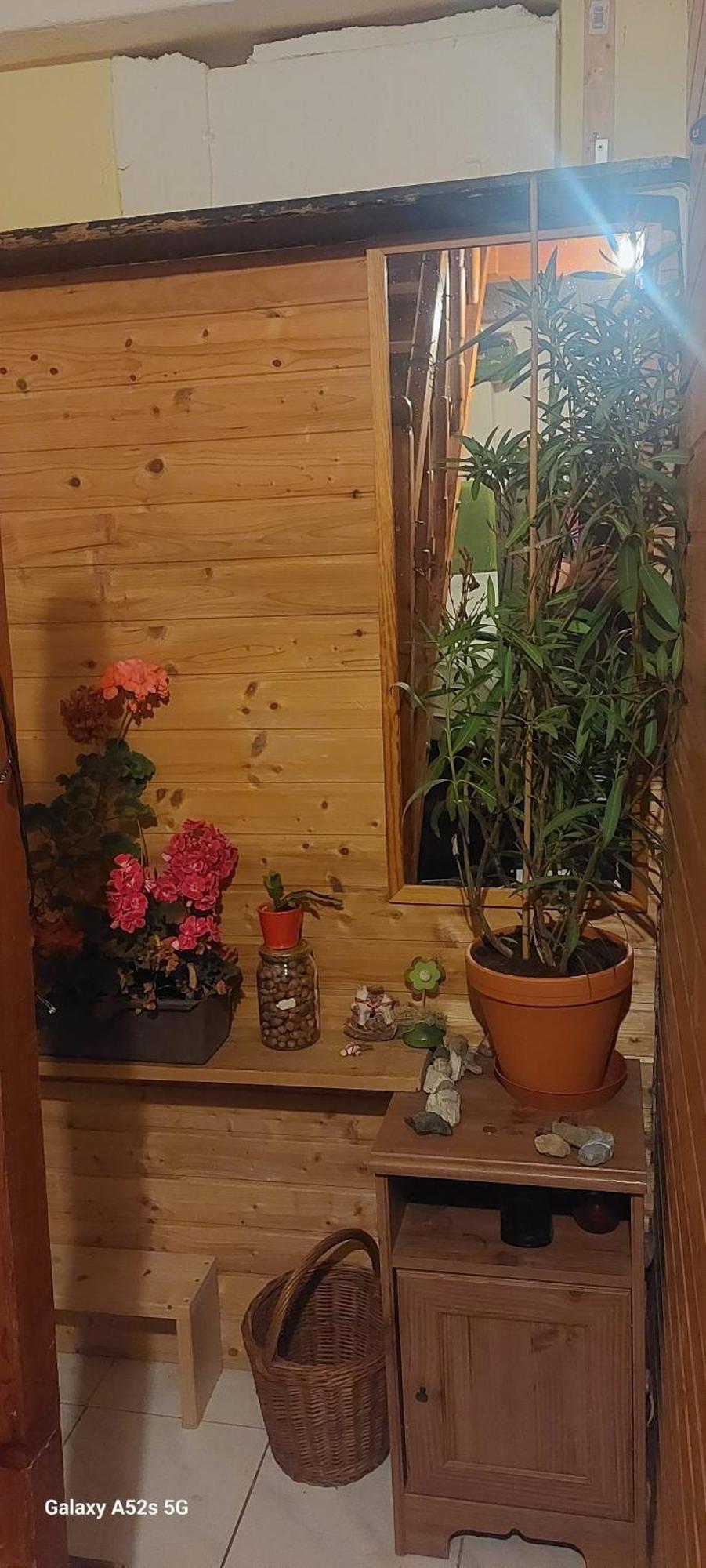 Brno - Apartman V Bohemske Ctvrti Kamenka Exterior foto